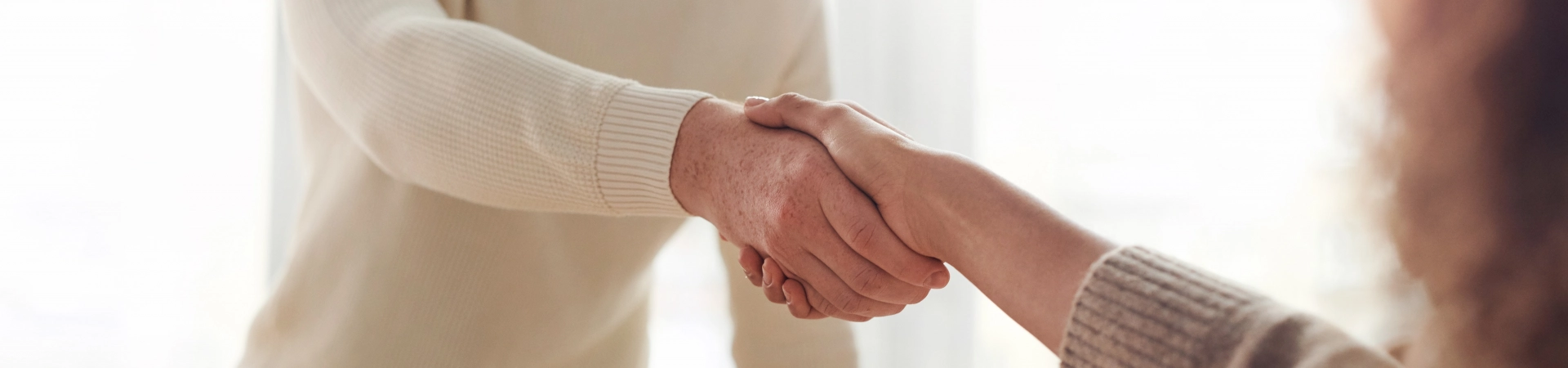 Conseiller en Insertion Professionnelle (Titre professionnel)